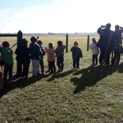 WhatsApp Image 2019-06-07 at 11.03.20